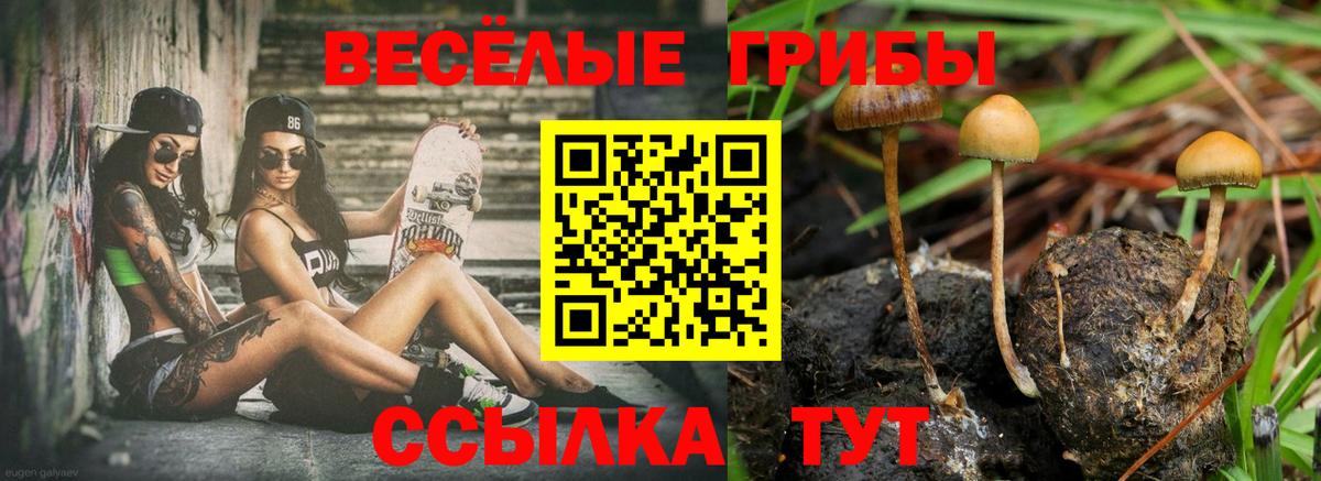 Галлюциногенные грибы Psilocybine cubensis  цены наркотик  Псилоцибиновые грибы ЛСД  Солнечногорск  Вход с VPN 