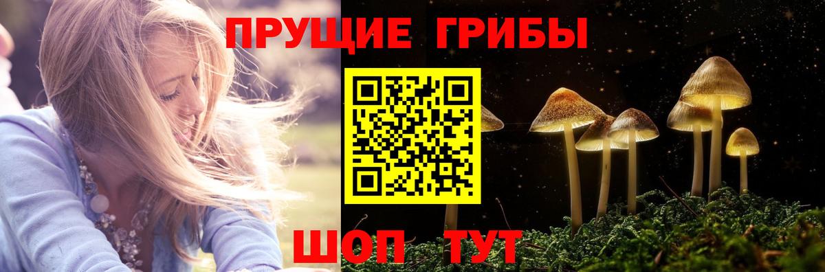 Псилоцибиновые грибы GOLDEN TEACHER Солнечногорск